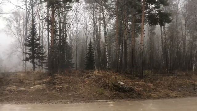 В поисках маршрута, город Белокуриха . смотреть онлайн