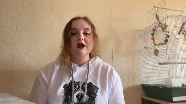 Чем обработать собаку/кошку от блох и клещей? Ошейники/Спреи/Таблетки/Капли. Что лучше?