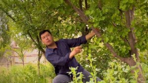 BUNYODBEK ODILBEKOV - JON LAYLI (video music)