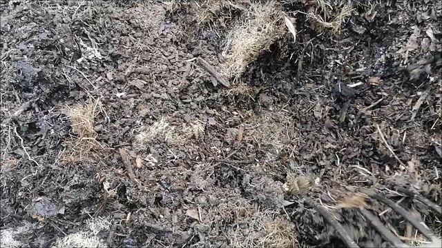 ЧТО ВНУТРИ НАШИХ ГРЯДОК смотреть онлайн