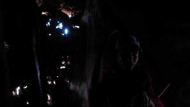 Masai House