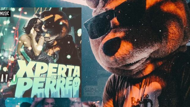 Xperta en el Perreo - Jay-N (Video Lyric) смотреть онлайн