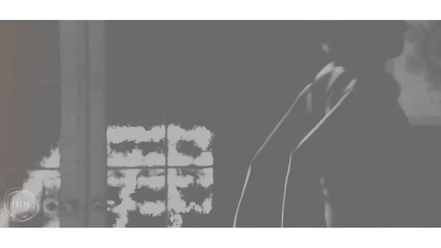 Damon & Bonnie - Crazy In Love (AU)