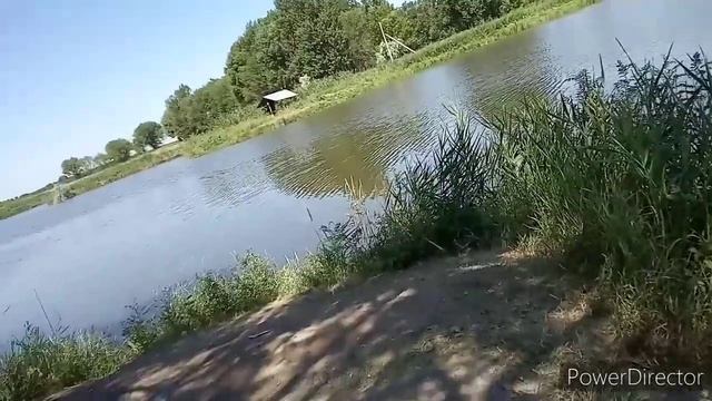 Рыбалка на карася и змейголову. На разных озёрах смотреть онлайн