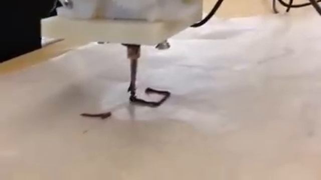Chocolate 3D Printer Demo смотреть онлайн