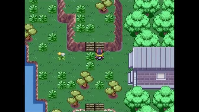 Pokemon Desolation Triple Typing Run Episode 5 - Trecking Through This Huge Jungle смотреть онлайн