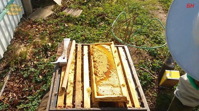 пчеловодство. расплод в ветлабораторию для оформления паспорта пасеки смотреть онлайн