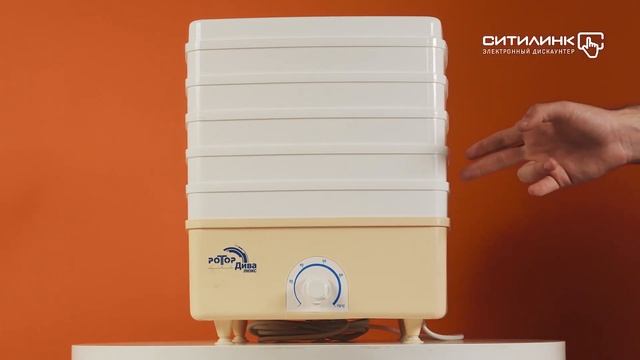 Обзор сушилки для овощей и фруктов РОТОР Дива-Люкс СШ 010-02 | Ситилинк