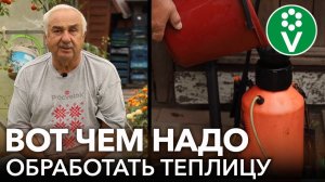 ОБРАБОТАЙТЕ ТЕПЛИЦУ ОТ БОЛЕЗНЕЙ И ВРЕДИТЕЛЕЙ СРАЗУ ПОСЛЕ СБОРА УРОЖАЯ!