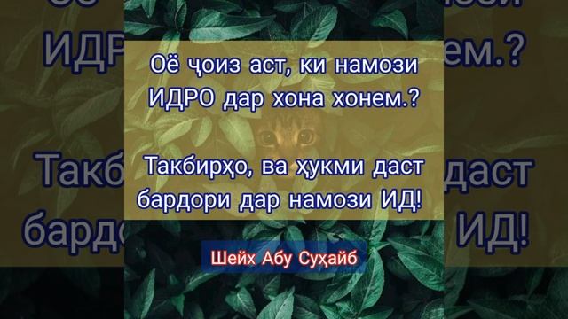 Хондани намози ид, дар хона оё ҷоиз аст.!? Шейх Абу Суҳайб.