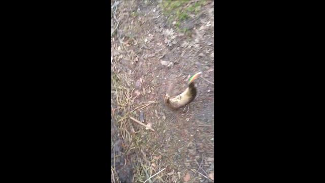 Озёра и прочие водоёмы области. Отчёты. смотреть онлайн