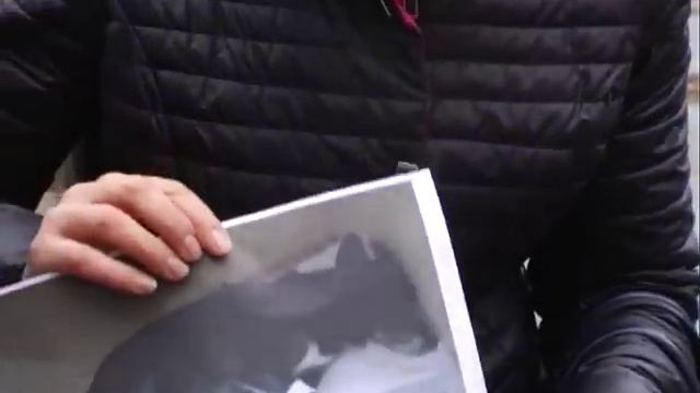 У Полтаві невідомі труять собак смотреть онлайн