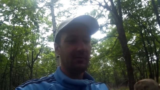 Первые Благородные Грибы Приморья Сезона 2018. Сбор Грибов Подберёзовики Подосиновики. смотреть онлайн