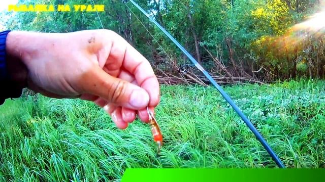 БЕРЕГОВОЙ СПИННИНГ/Много ЩУКИ и ОКУНИ на р.ЛОЗЬВА на MEPPS Aglia Long 1. Рыбалка на Урале смотреть онлайн