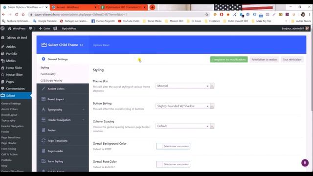 [10/13] Configurer le thème WordPress Salient смотреть онлайн