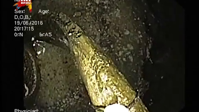 Как извлекали ребро Николая Чудотворца из крипты. смотреть онлайн