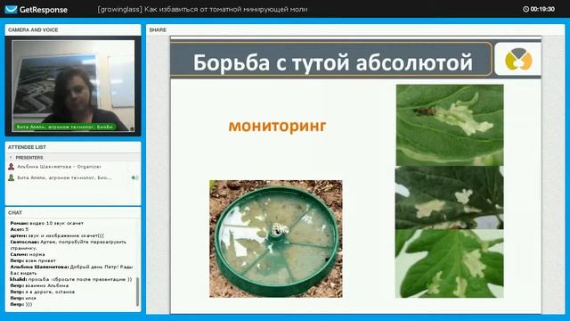 Мониторинг Туты Абсолюты. Феромонные ловушки смотреть онлайн