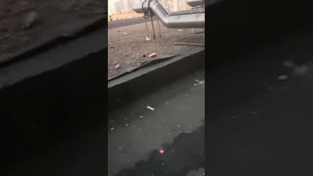 Крысы на крыше Москвы смотреть онлайн