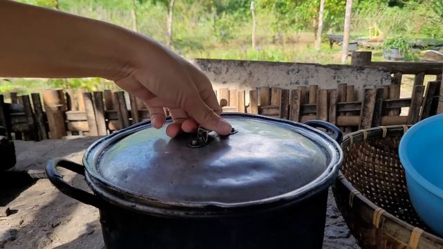 Harvesting Radishes And How To Store Them. Live With Nature.