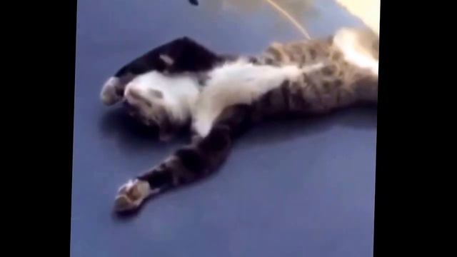 Брат проснись мне ехать надо смотреть онлайн