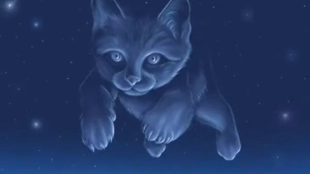 Светлана Шаханова_Бродит кошка смотреть онлайн