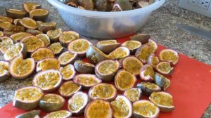 #маракуйя #маракуя #exotic Переработка маракуйи passiflora edulis Frederick