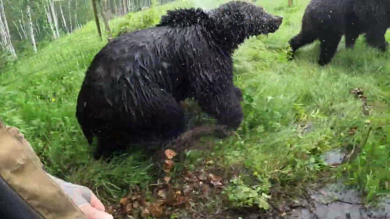 Маша устала с малышнёй. смотреть онлайн