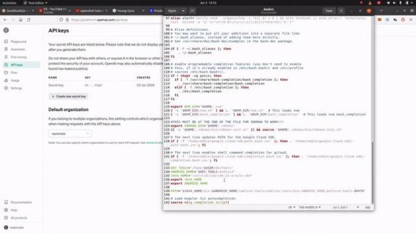 OpenAI API Key to global environment on Linux