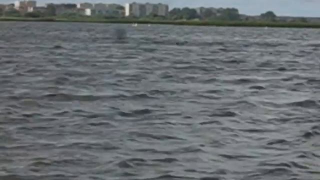 Liepaja's lake. Part 3/3. Way back to town. Southern fort. смотреть онлайн