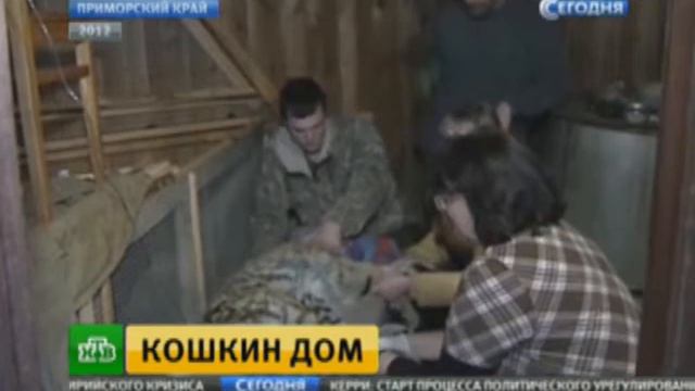 У тигрицы по имени " Золушка"- появились двое тигрят. смотреть онлайн