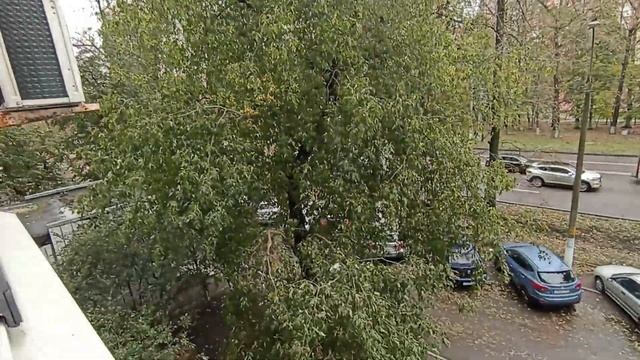 вид из окна смотреть онлайн