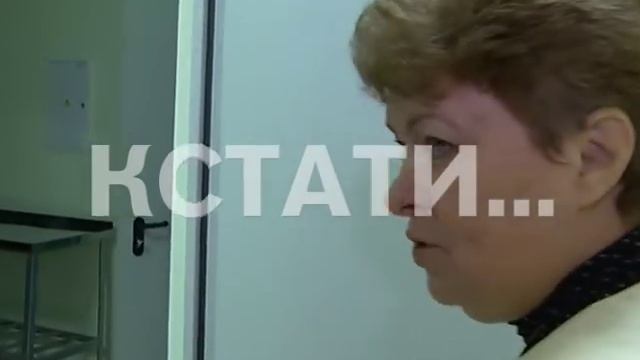 Ликвидирована очередь в детские сады в Нижегородской области смотреть онлайн