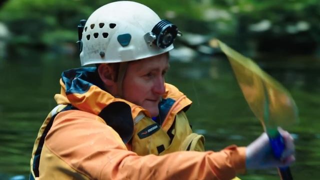 How Does The Tiny Kiwi Bird Survive When It Can't Fly? | Modern Dinosaurs | Real Wild смотреть онлайн