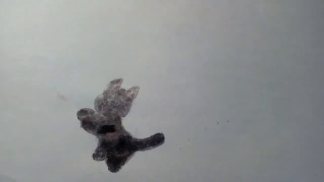 Рисую котёнка^^| Как нарисовать пушистого котёнка акварелью смотреть онлайн