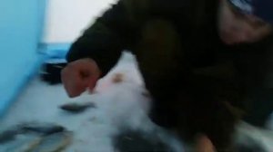 Рыбалка на карася! Озеро Яровое! Бешеный клёв!