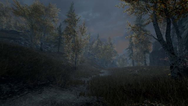 Skyrim with Next Gen Graphics in 2021 (ENB) смотреть онлайн