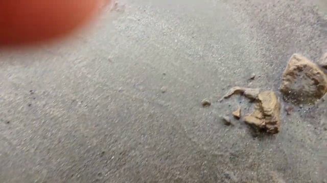 Монстры реки Обь смотреть онлайн