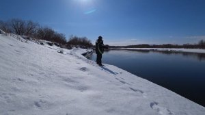 ВЕСЕНЯЯ РЫБАЛКА НА ГОЛЬЦА 2021 !!! Камчатский край / река Авача