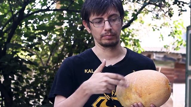 Как правильно выбрать сладкую спелую дыню. Торпеда vs. Колхозница смотреть онлайн