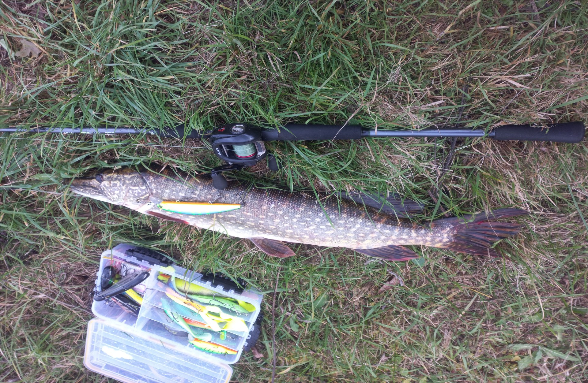 Последняя спиннинговпя рыбалка в 23м году. 8.11.2023.mp4