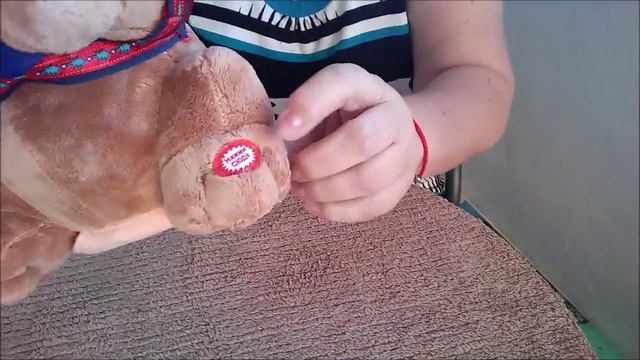 Aliexpress "Никто тебя не любит так,как я..." Поющая собака смотреть онлайн