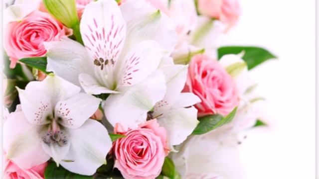 8 марта. Поздравление для прекрасной половины человечества! смотреть онлайн