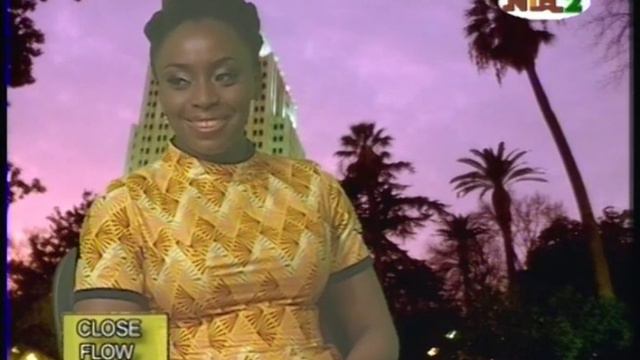 CHIMAMANDA - 16 THINGS YOU NEED TO KNOW ABOUT HER - NTA 2 Lagos смотреть онлайн