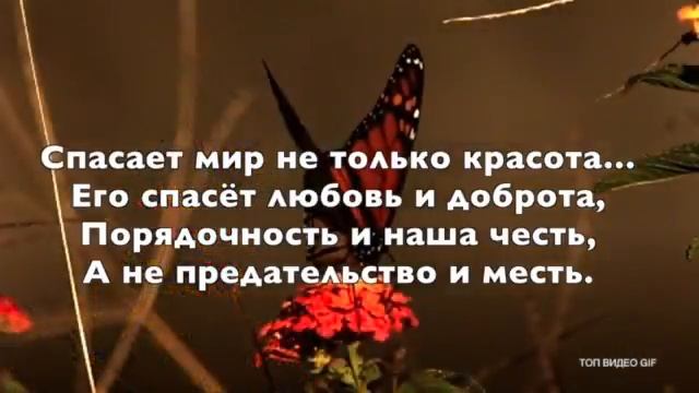 2 ноября 2017 г. смотреть онлайн