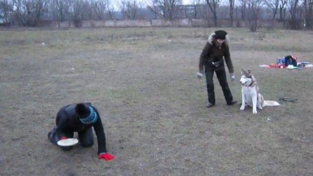 вольт от спины _Хантер1 смотреть онлайн