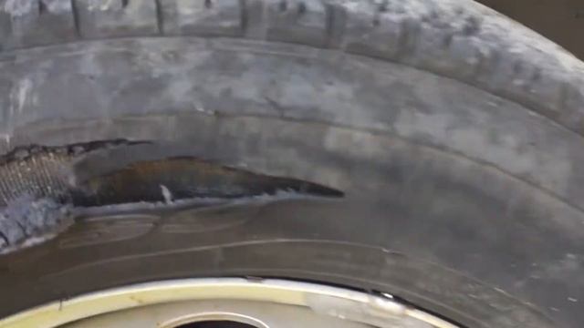 Кордиант  бизнес  после 20 тыс пробега