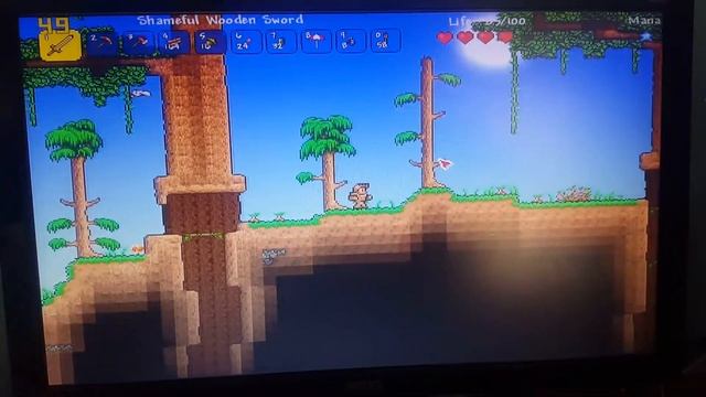 Terraria on a Pentium M and 128MB ATI GPU смотреть онлайн
