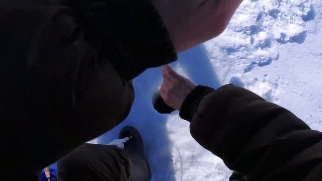 09 03 2022, Белоярка, Черемшана, ловля чебака на безнасадку смотреть онлайн