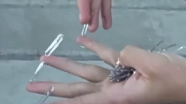 Фантастические Вещи В Реальной Жизни смотреть онлайн