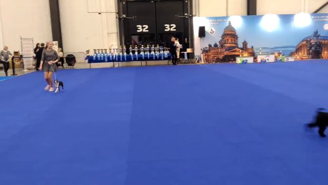 ЮХ второй день смотреть онлайн